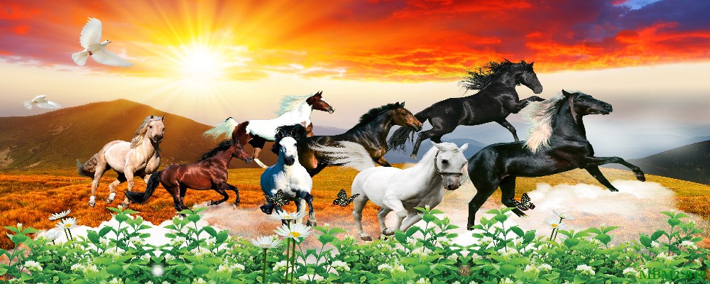 Tranh ngựa - bát mã - Mã đáo MBM2-019